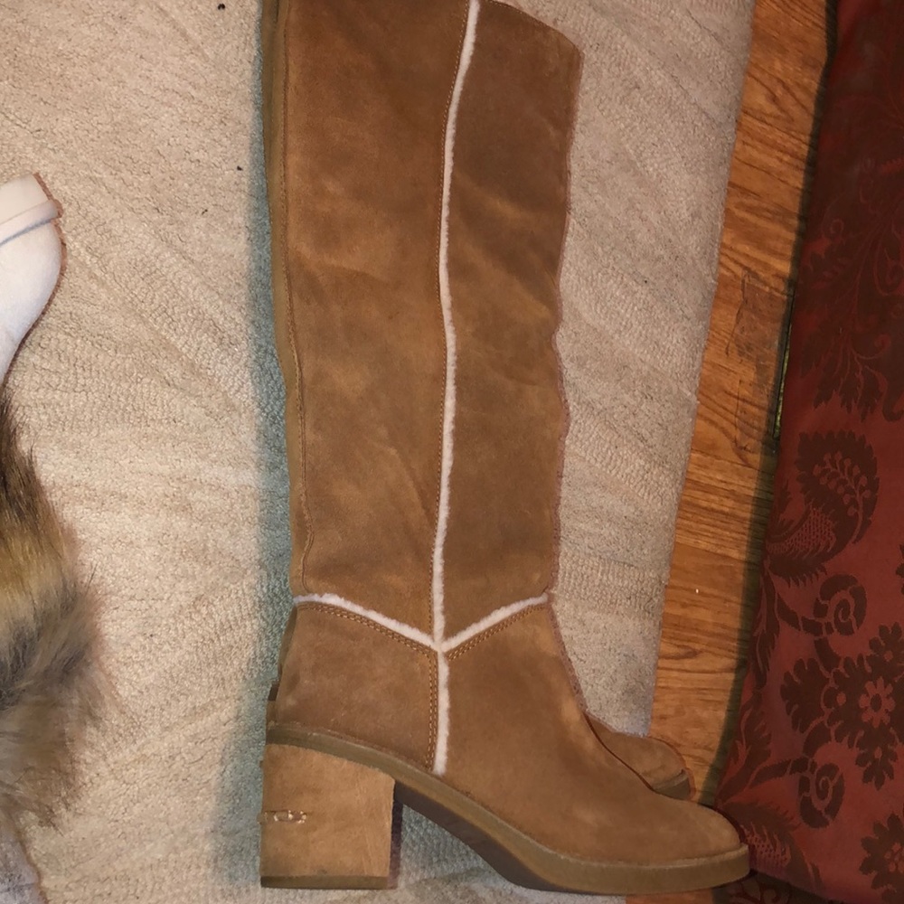 Ugg boots with fur